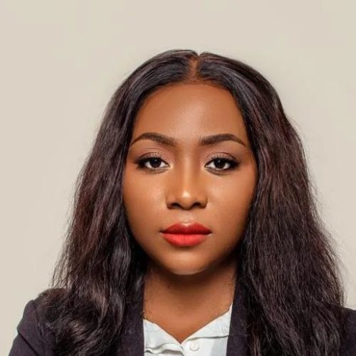 A Arquiteta da Inclusão Digital: Como Fátima Almeida está a Transformar a Economia Angolana