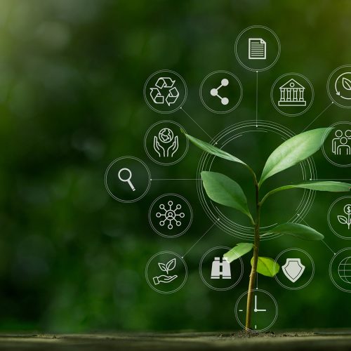ESG na engenharia: Como integrar sustentabilidade nos projectos